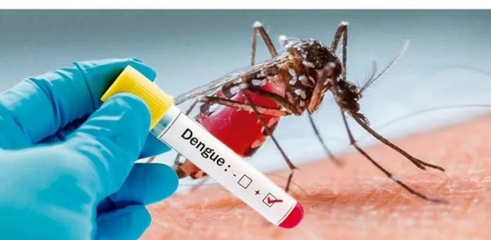 Arapongas confirma mais três óbitos por dengue