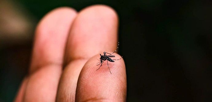 Arapongas registra primeiro óbito por dengue neste período epidemiológico