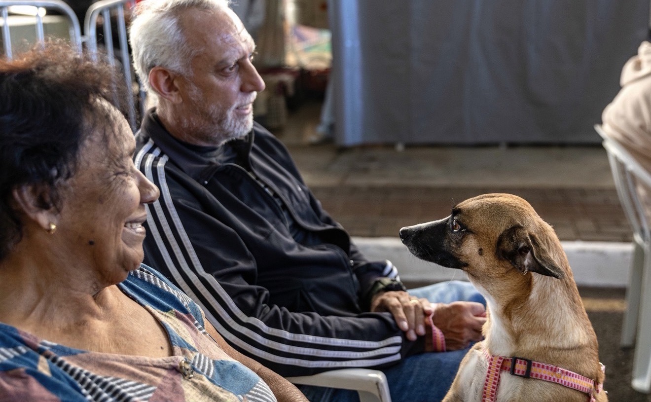 Arapongas terá 600 castrações gratuitas de cães e gatos em abril pelo programa Castra + Paraná 2
