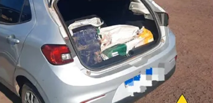 Polícia intercepta veículo com quase 100 kg de maconha na PR-444 em Arapongas