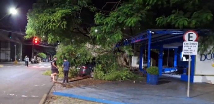 Árvore cai sobre veículo no centro de Arapongas