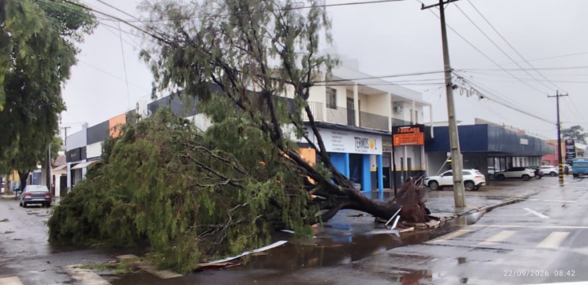 Temporal causa estragos e transtornos em Arapongas; veja balanço parcial