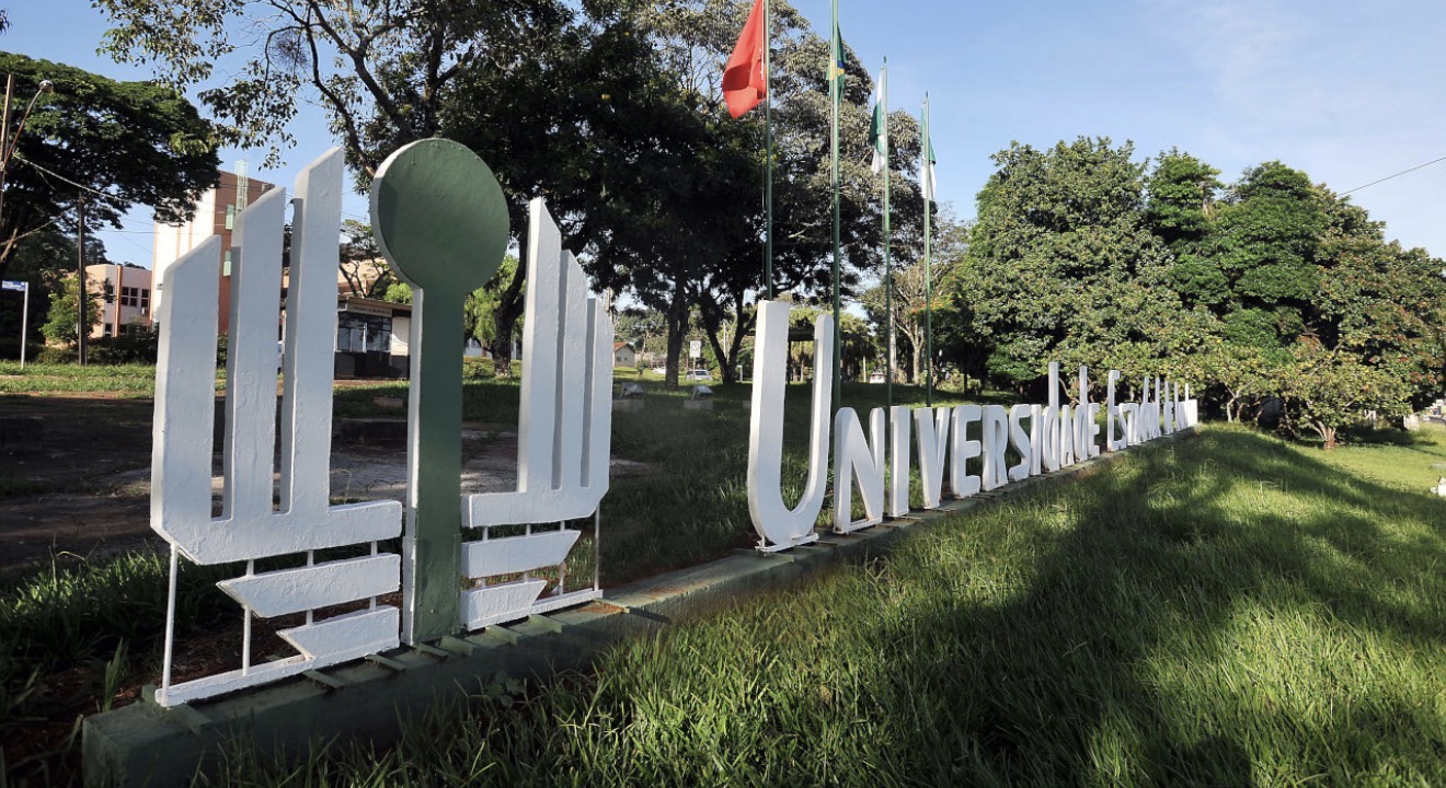 UEL abre 30 vagas para curso superior gratuito de Gestão Pública EAD no polo de Arapongas